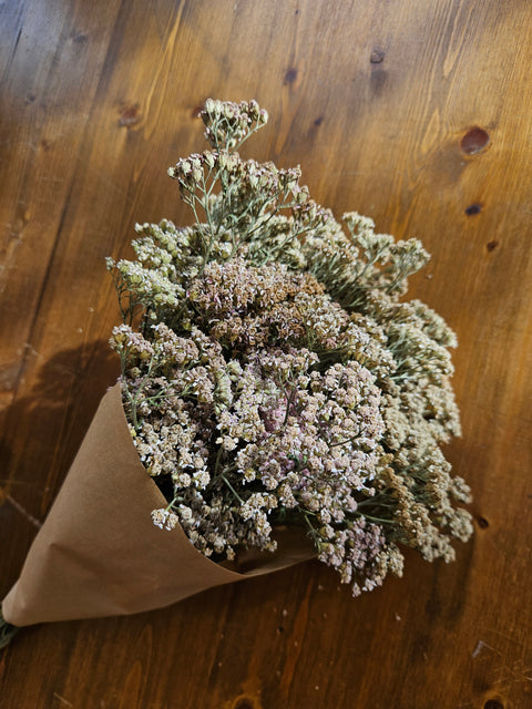 Yarrow - Dried Flowers - Elda May Flowers & Co