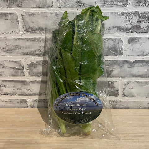 Romaine Lettuce - Golden Eden Produce