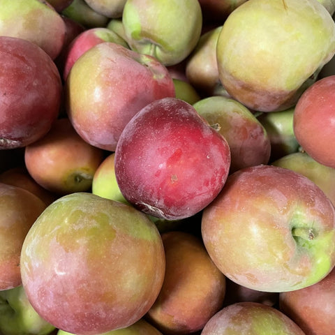 Apples - Macintosh - Steve and Dan's Fresh B.C. Fruit - 1lb