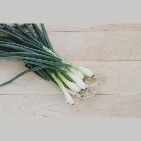 Green Onion - Heliotrope Gardens - bunch