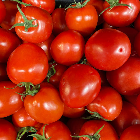 Roma Tomatoes - Seven Meadows Farm - per lb