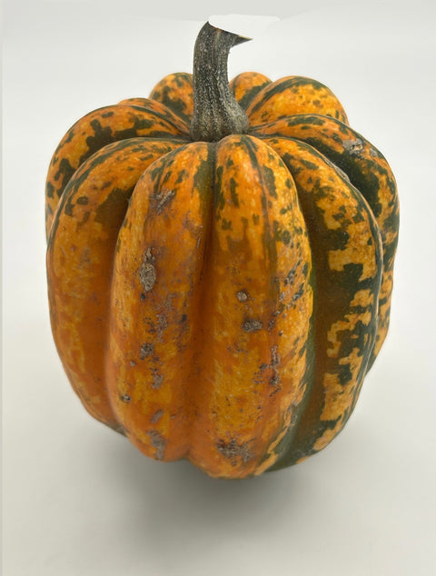 Organic Acorn Squash - Heliotrope - Per lb