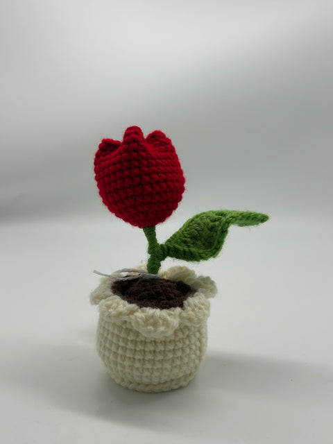 Crochet Tulip - Made to Hold