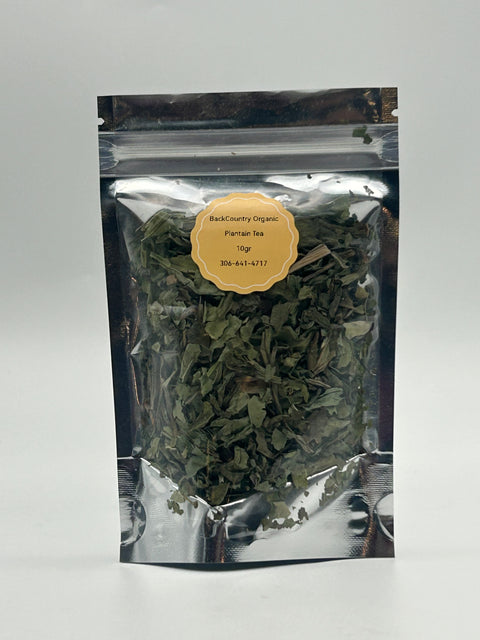 Organic Plantain Tea - BackCountry Organic - 10g