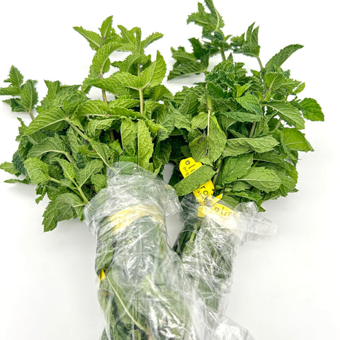 Organic Mint - Heliotrope Gardens
