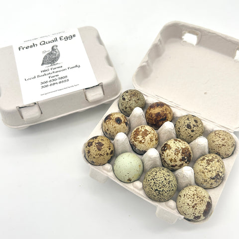 Quail Eggs - 1 Dozen - H&G Farms