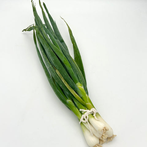 Green Onions - Little Green Abundance - bundle