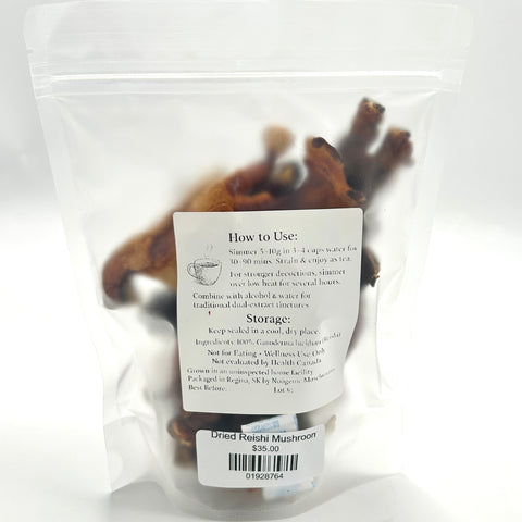 Dried Reishi Mushroom