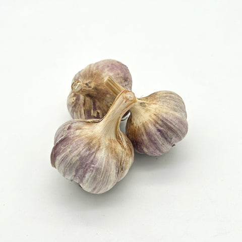 Garlic - Little Green Abundance - Per Head