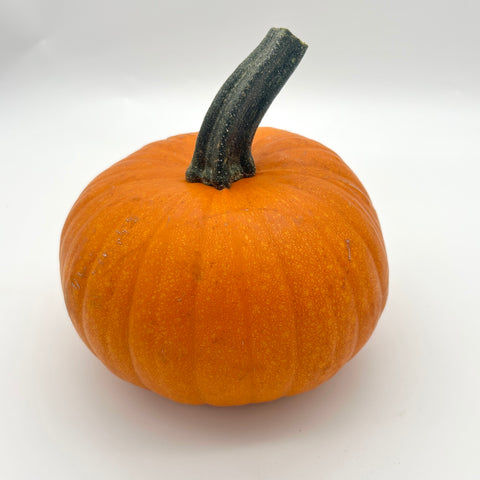 Sugar Pie Pumpkin - Heliotrope - per lb