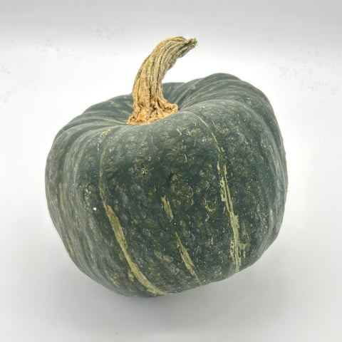 Organic Buttercup Squash - Heliotrope - Per lb