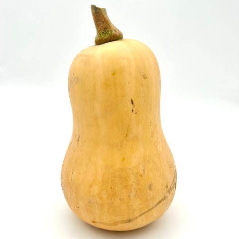 Butternut Squash - Heliotrope - Per lb