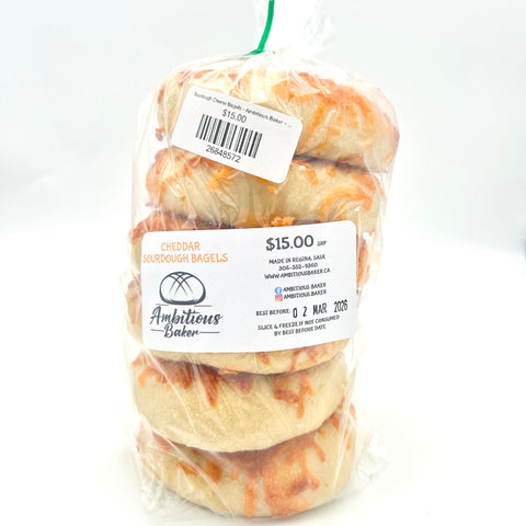 Sourdough Cheese Bagels - Ambitious Baker - 6 Pack