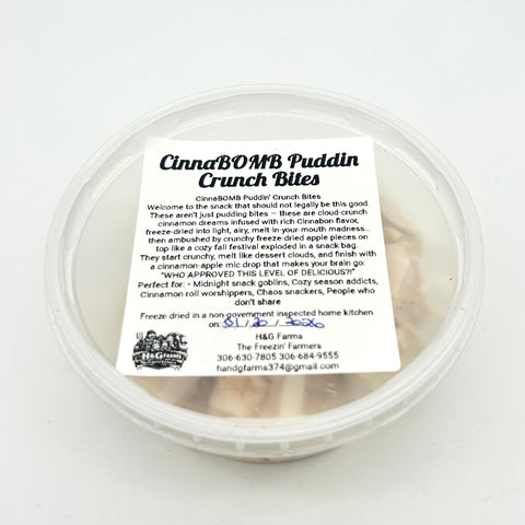 Freeze Dried Cinnabon Pudding Crunch Bites - H & G Farms