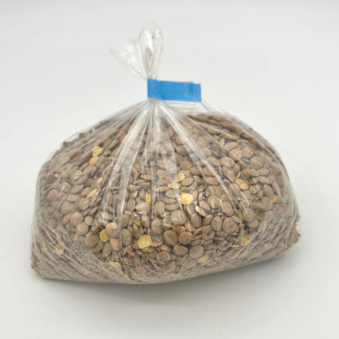 Large Green Lentils - BULK - Per lb