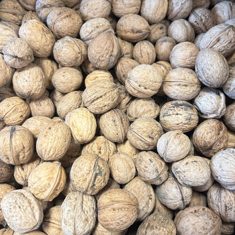 Organic Walnuts - Steve and Dan's - Per Lb