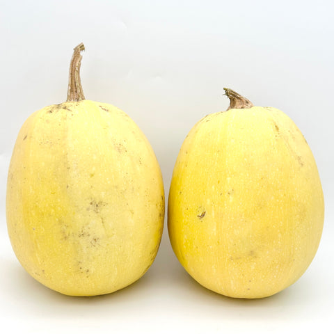 Spaghetti Squash - McMahon Colony