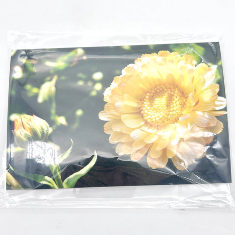 Photography Card