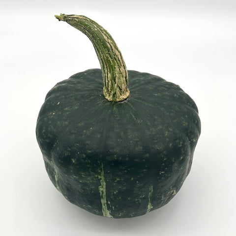 Buttercup Squash - Pioneer Gardens - Per lb