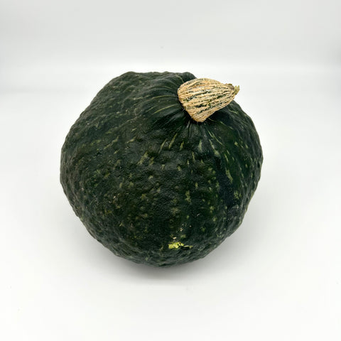 Mini Hubbard Squash - Pioneer Gardens - Per lb