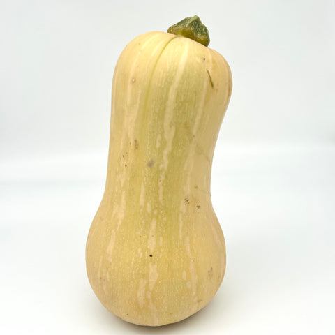 Butternut Squash - Pioneer Gardens - Per lb