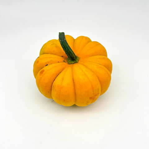 Pumpkin - Jill be Little - Pete's Prairie Pumpkins - Priced / Pumpkin