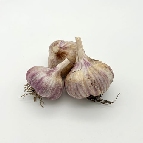 Garlic - Heliotrope - 1 head