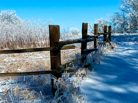 Blank Gift Enclosure Cards - EK Designs - Winter Fence