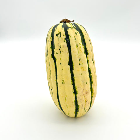 Delicata Squash - Pioneer Gardens - Per lb