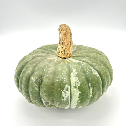 Blue Kuri Squash - Little Green Abundance - 1 Squash