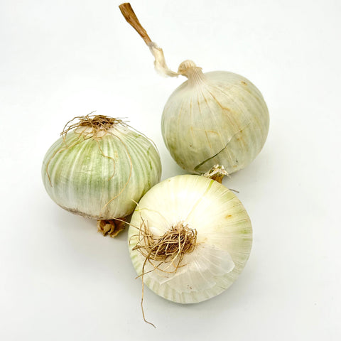 Onions - Heliotrope - per lb