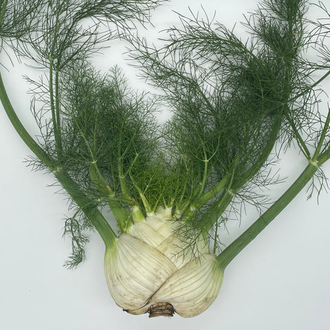 Fennel - Heliotrope