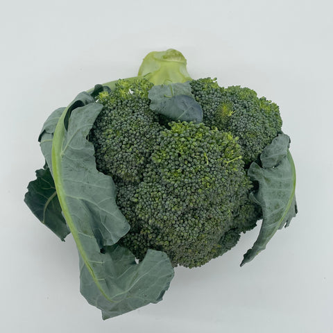 Broccoli - Heliotrope - 1 Head