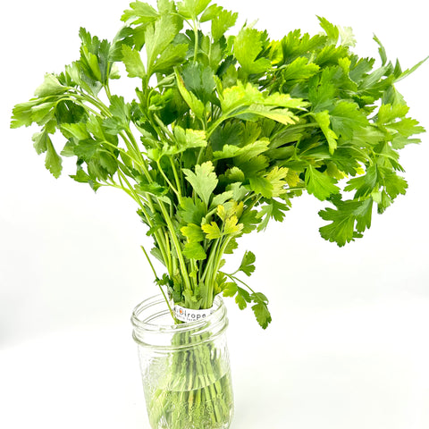 Organic Parsley - Heliotrope Gardens