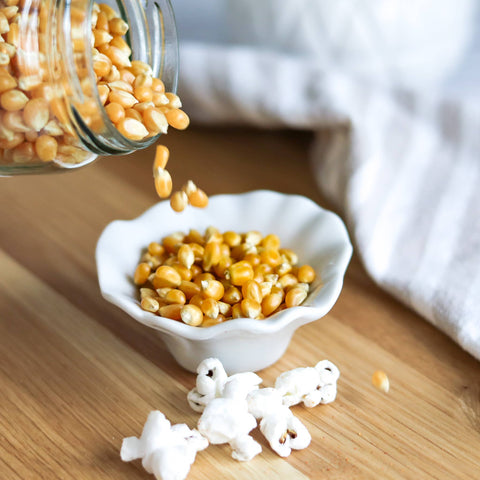 Provisions Food Company - Yellow Gold Popcorn