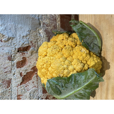 Cheddar Cauliflower - Southland Colony