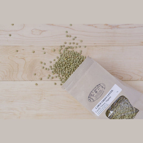 Large Green Lentils - Pure T Organics - 1 KG