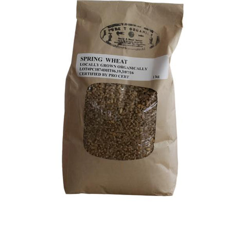 Hard Red Spring Wheat - Pure T Organics - 1 KG