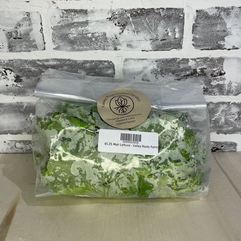 Muir Lettuce - Valley Roots Farms