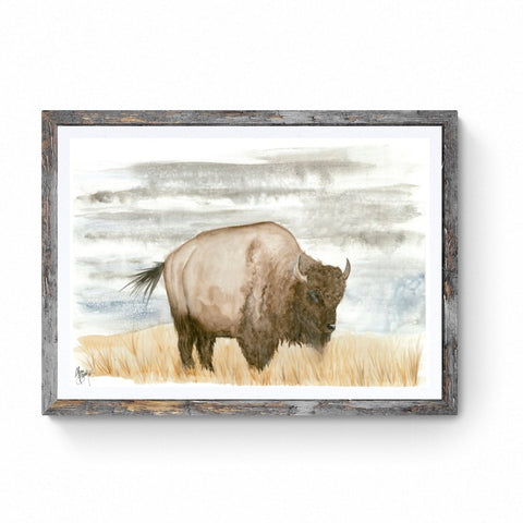 Lone Bison