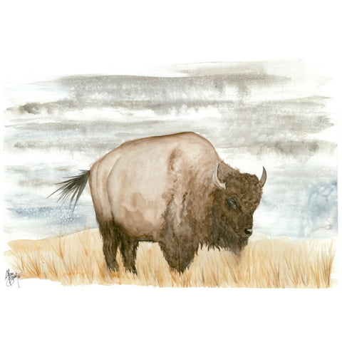 Lone Bison