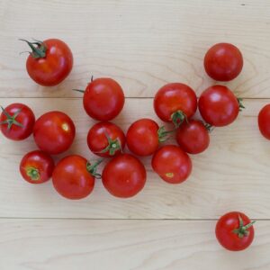 Tomatoes - Cocktail - Floating Gardens